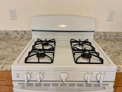 131 Birch St unit 1, Roslindale, MA 02131 - photo 6