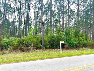 0 Bermuda Ln unit 4 372651, Seminole, AL 36574 - photo 5