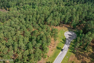 1-web-or-mls-DJI_0949