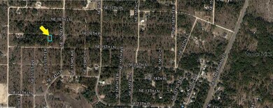 tbd NE 16th Place, Williston, FL 32696 - photo 5