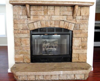Gas fireplace
