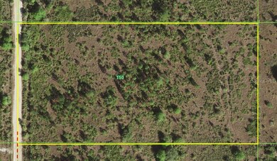 Aerial close up of the 5 acres.  The back two corn