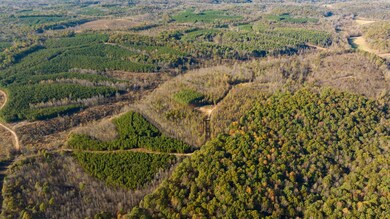 0 Old Highway 18 unit RTC2588368, Stewart, TN 37175 - photo 6