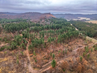 W2052 Spring Creek Rd, Durand, WI 54736 - photo 6