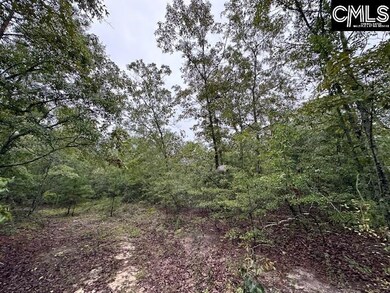 P/O 1375 Fallaw Rd, Gaston, SC 29053 - photo 5