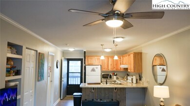 475 Meadowview Dr unit B306, Boone, NC 28607 - photo 3