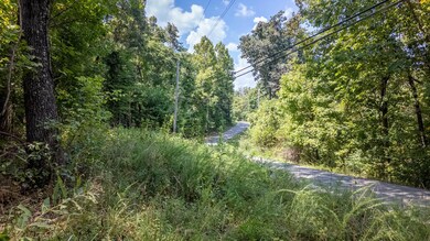 Lot 16 Riverbend Rd, Mammoth Spring, AR 72554 - photo 6