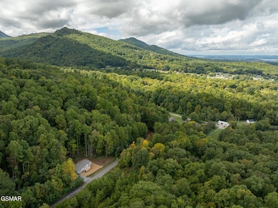 1431 Blue Springs Way, Newport, TN 37821 - photo 2