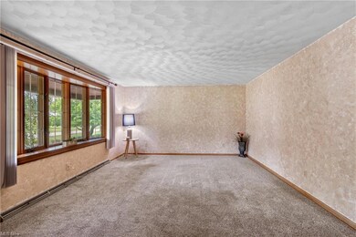 Living Room- Hardwood under carpet