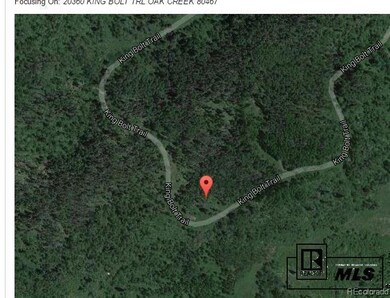 20360 King Bolt Trail, Oak Creek, CO 80467 - photo 2