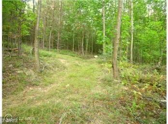 175 S Branch Mountain Rd, Moorefield, WV 26836 - photo 4