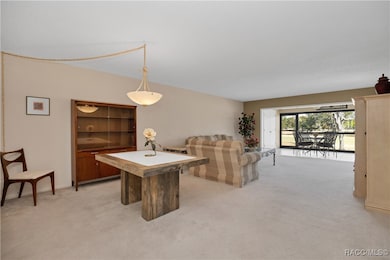 3 Cypress Run unit 36B, Homosassa, FL 34446 - photo 5