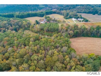 0 County Road 406, Cullman, AL 35057 - photo 6