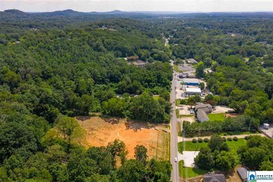 2225 Old Springville Rd unit lot 4-6, Center Point, AL 35215 - photo 6