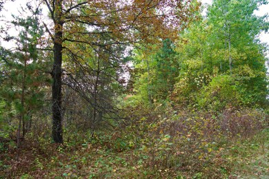 21.8 Acres Minnesota 371, Brainerd, MN 56401 - photo 7