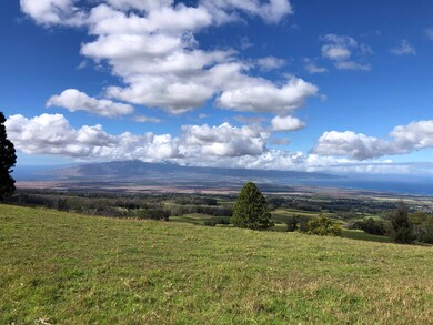 0 Olinda Rd, Makawao, HI 96768 - photo 7