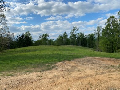 5 Crest Line Dr, Upatoi, GA 31829 - photo 4