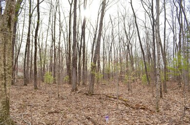 87 Marsh Hill Rd, Brimfield, MA 01010 - photo 3