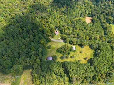 3818-1 County Road 4 unit Tract 1, Hollytree, AL 35751 - photo 2