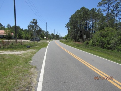 Lot 6 Hwy 67, Carrabelle, FL 32322 - photo 3