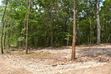 0 Gailey Hollow Rd unit 1046409, Siloam Springs, AR 72761 - photo 7