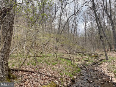 LOT 19 SEC 14 High Knob Rd, Old Fields, WV 26845 - photo 2