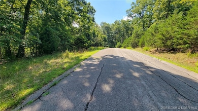 Lot #866 Grand Cypress, Jasper Township, MO 65079 - photo 2