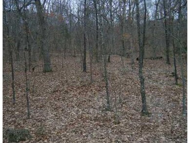 0 Ria Ln unit 699123, Eureka Springs, AR 72631 - photo 2