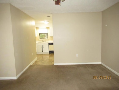 Living & Kitchen