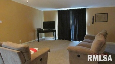 1913 Chestnut St, Harrisburg, IL 62946 - photo 4