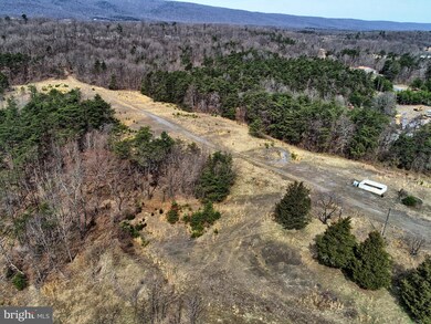 393 Guy Mason Ln, Hedgesville, WV 25427 - photo 5