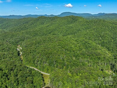 0 Frozen Creek Rd unit CAR4112325, Brevard, NC 28712 - photo 5