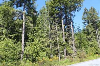 5441 E Grapeview Loop Rd, Allyn, WA 98524 - photo 6