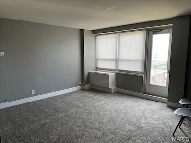 Carpeted spare room featuring healthy amount of natural light