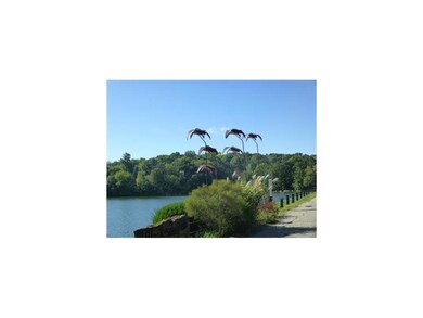 Dam Picture at Black Swan Lake