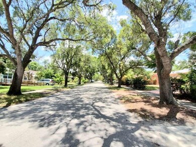 Tree-Lined Street
