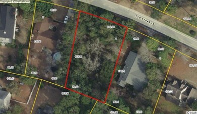 165 Old Cedar Loop unit Litchfield Country C, Pawleys Island, SC 29585 - photo 4