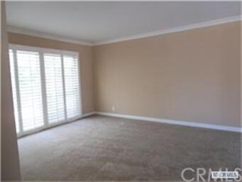Living Room with New paint and carpet plus Plantat