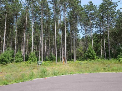 Lot 6 Two Sisters Ct, Stevens Point, WI 54482 - photo 7