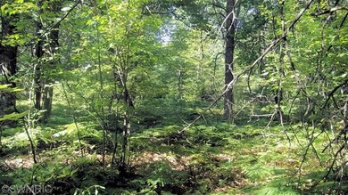 0 W Woodland Park Dr unit PAR D 13049198, Merrill Township, MI 49309 - photo 7