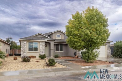 1100 Chitalpa Ct, Carlsbad, NM 88220 - photo 2