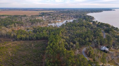 Lot 45 , Scenic Rt S D On Scenic Route, Cordele, GA 31015 - photo 5