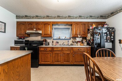 320 Willard Ave, Lincoln, IL 62656 - photo 5