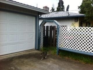 700 Ash St, Central Point, OR 97502 - photo 4