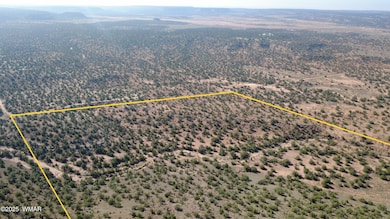 9591 Privette Ln, Snowflake, AZ 85937 - photo 4