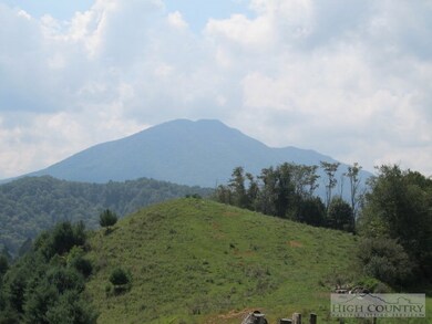 View: The Peak.