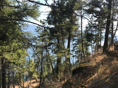 Nkn Peachtree Dr, Polson, MT 59860 - photo 3