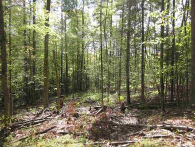 00 Perch Pond Rd, Lisbon, NH 03585 - photo 5