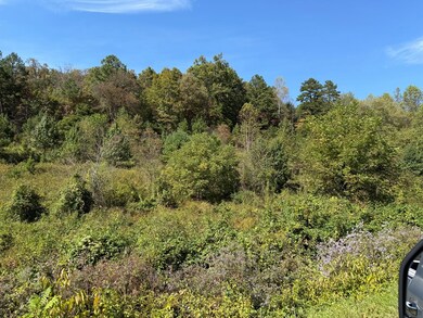 9.10 Oakgrove Rd, Murphy, NC 28906 - photo 7