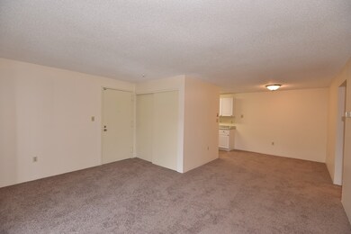11 Silver Hill Ln unit 3, Natick, MA 01760 - photo 6